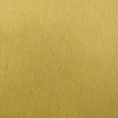 light yellow hair on hide
