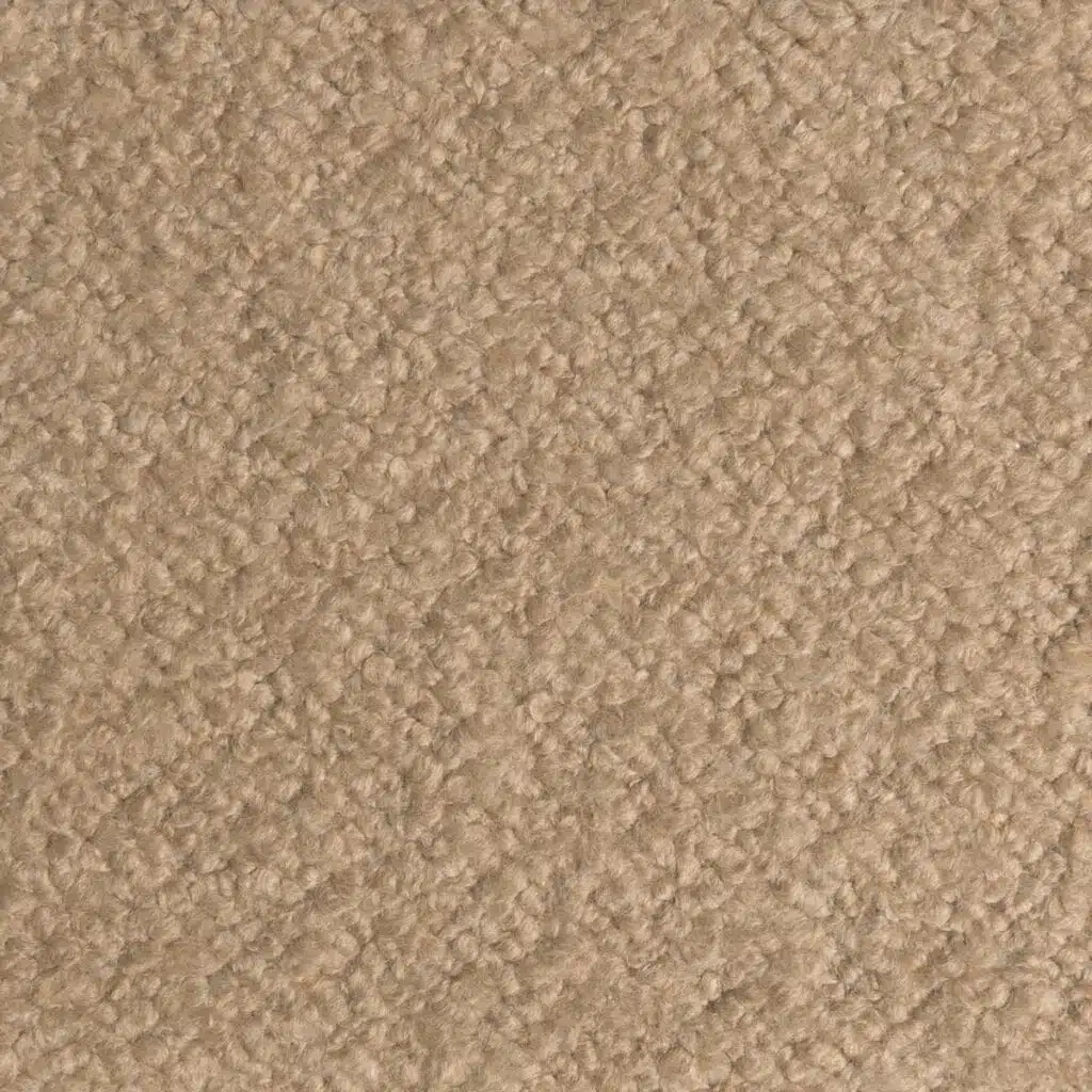 Pashmina