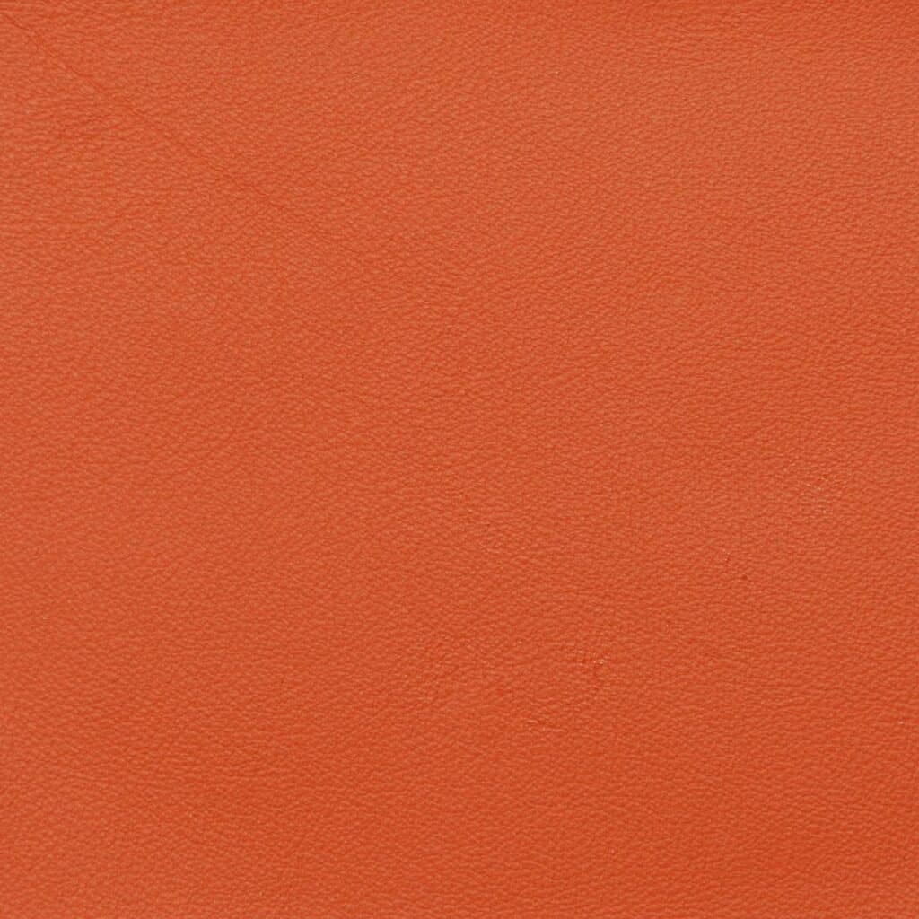 Clownfish