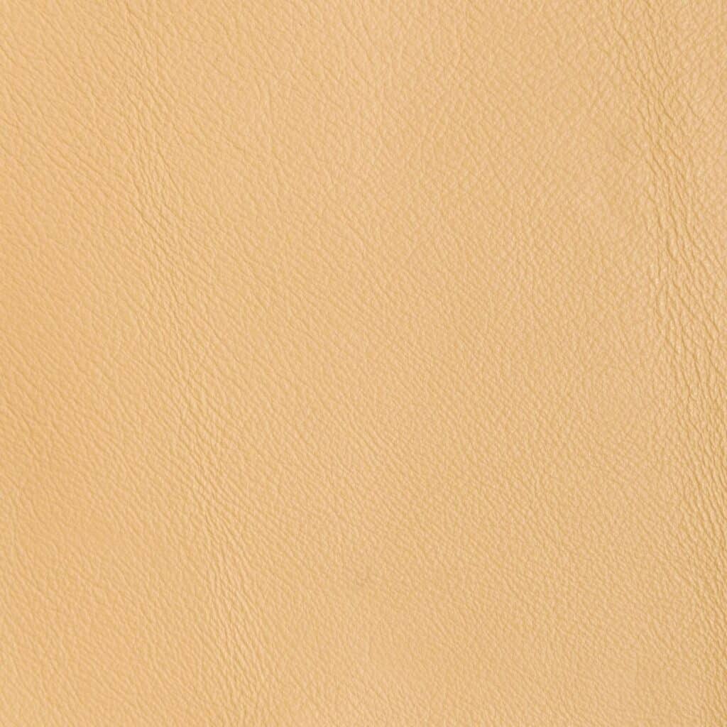 Chamois