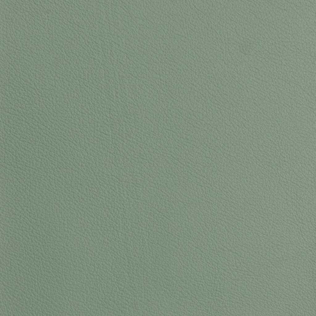 Eider Green