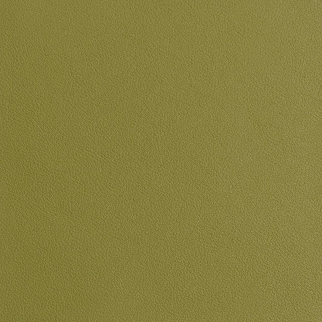 Green Lynx
