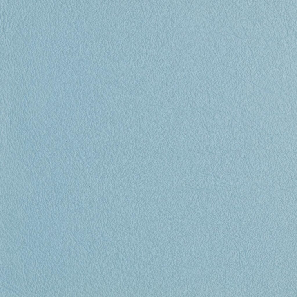 Wild Blue