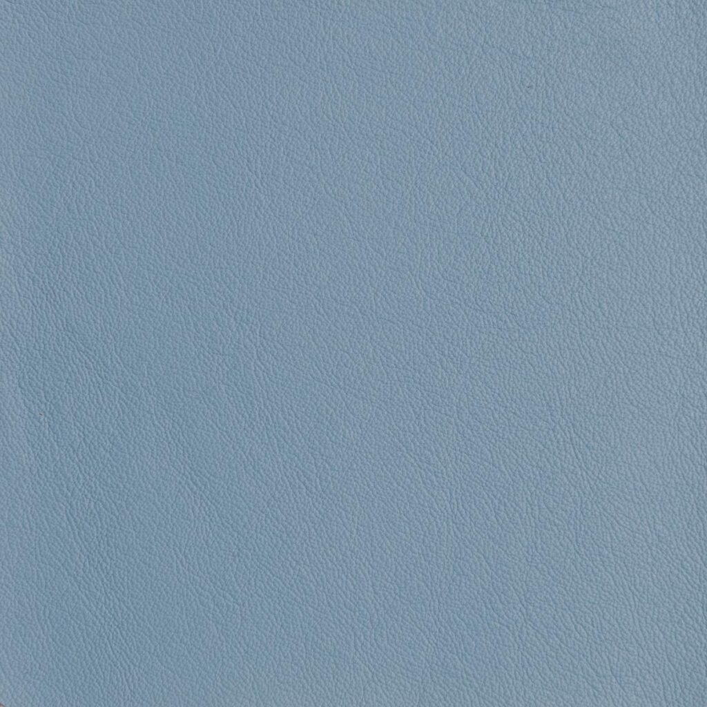 Ceil Blue