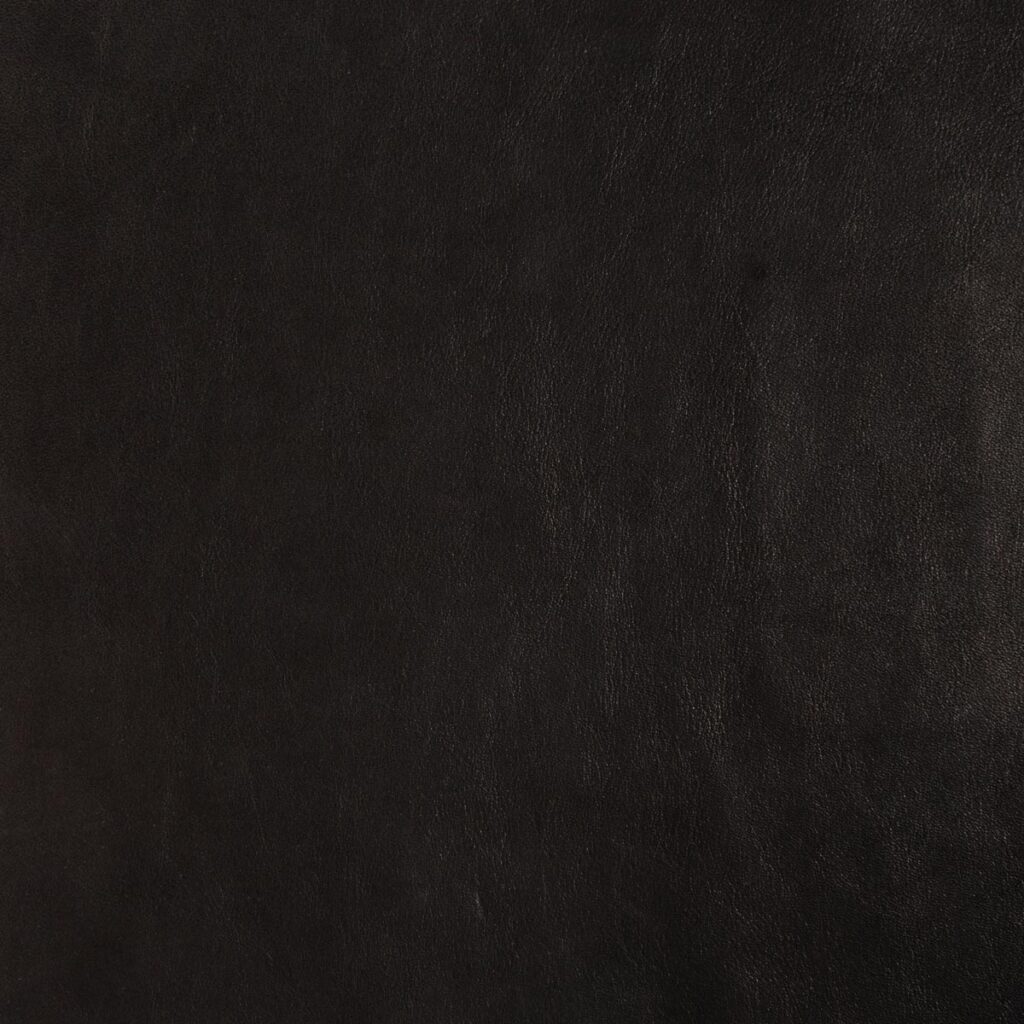 Black Beauty