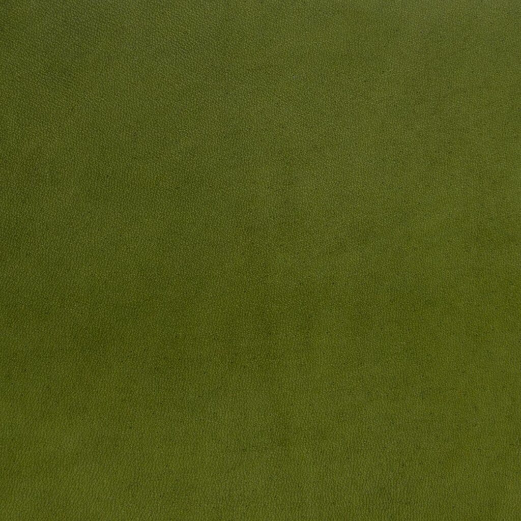 Green Mamba