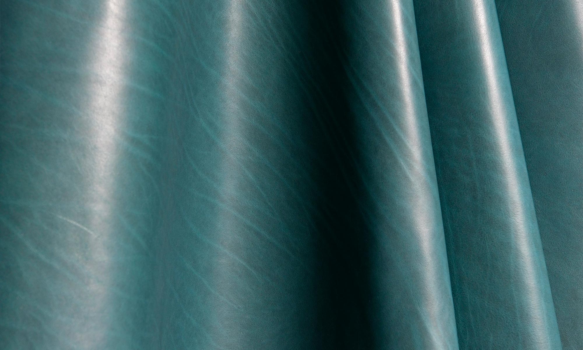 Formula One Leather by Jamie Stern