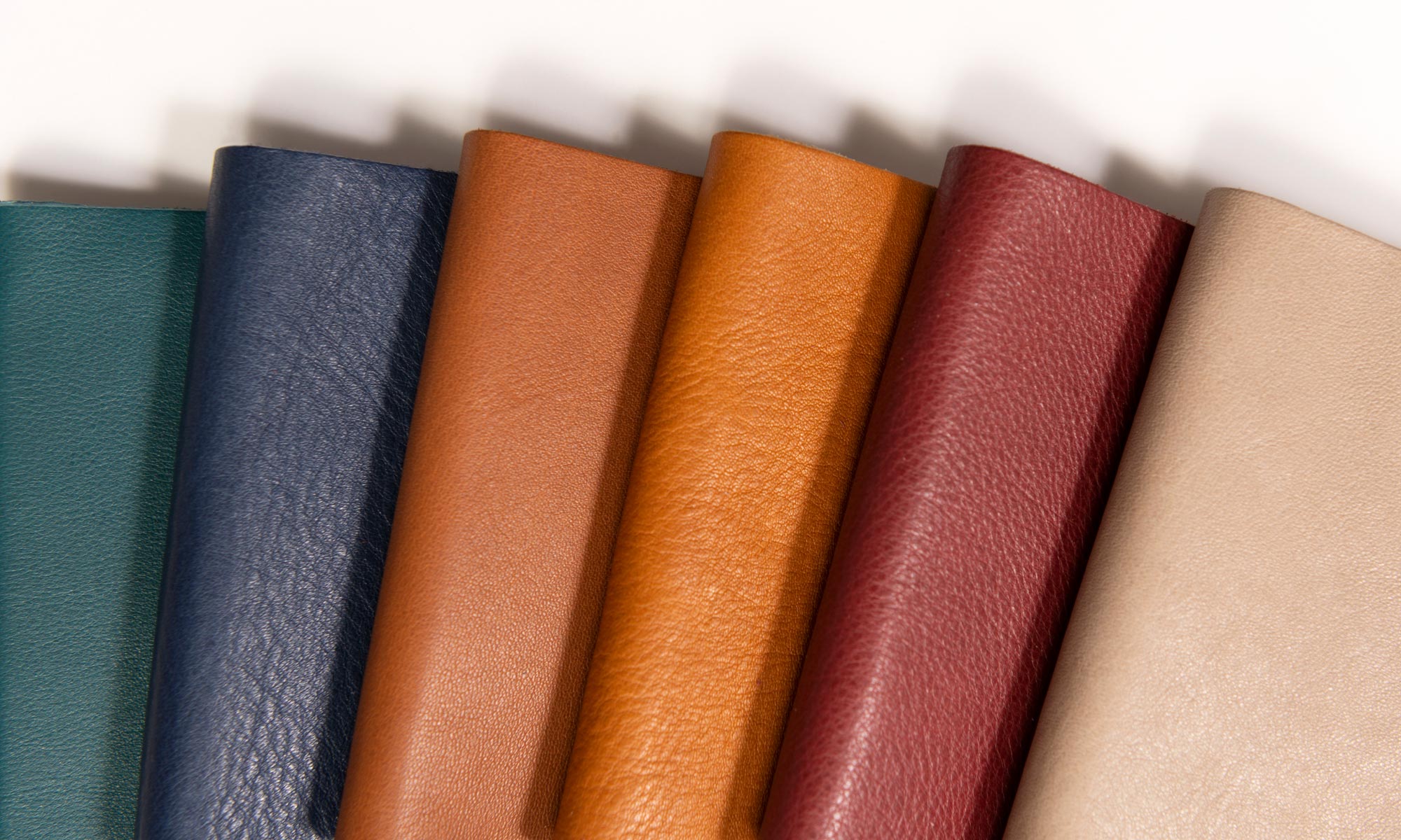 Formula One Leather by Jamie Stern
