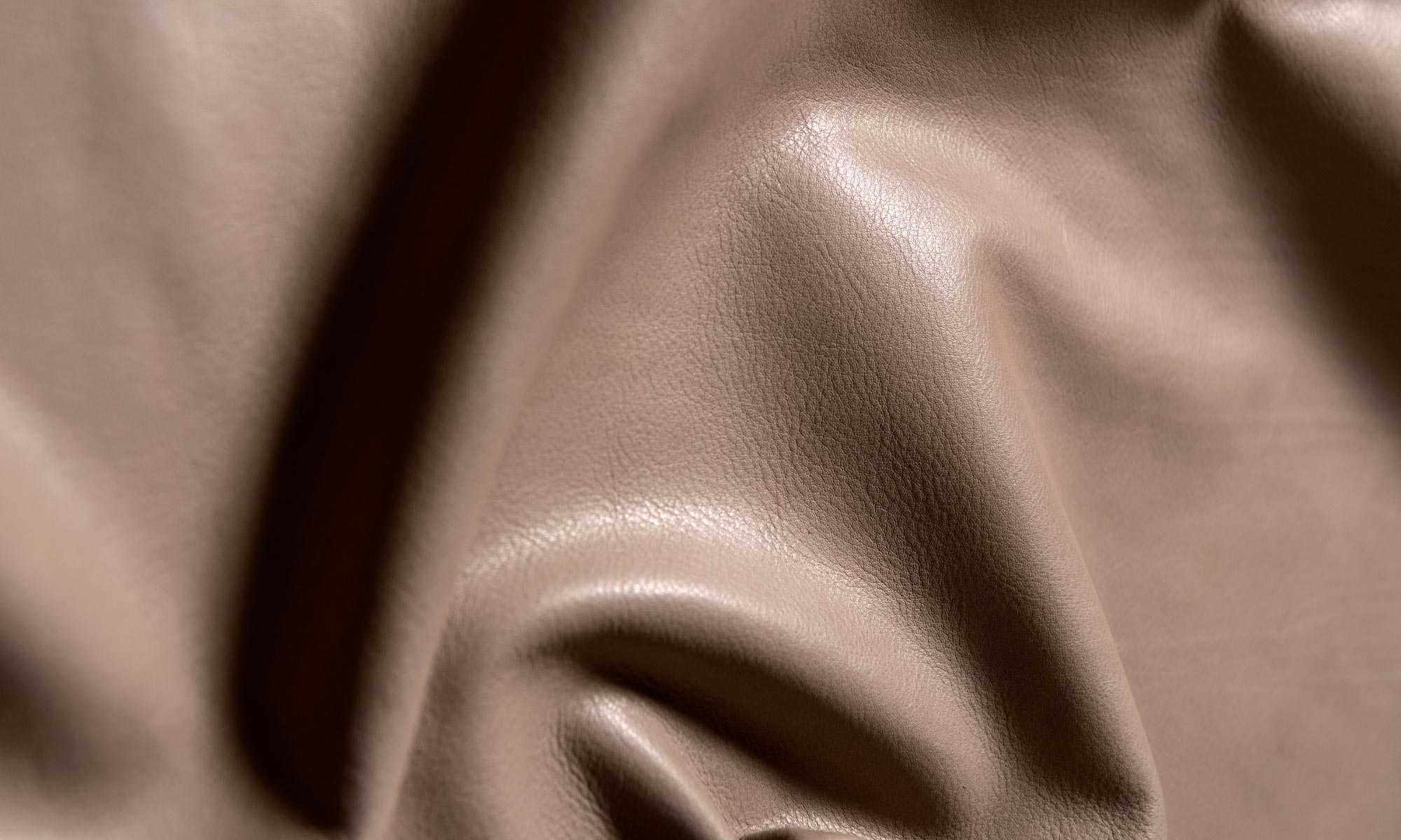 Formula One Leather by Jamie Stern
