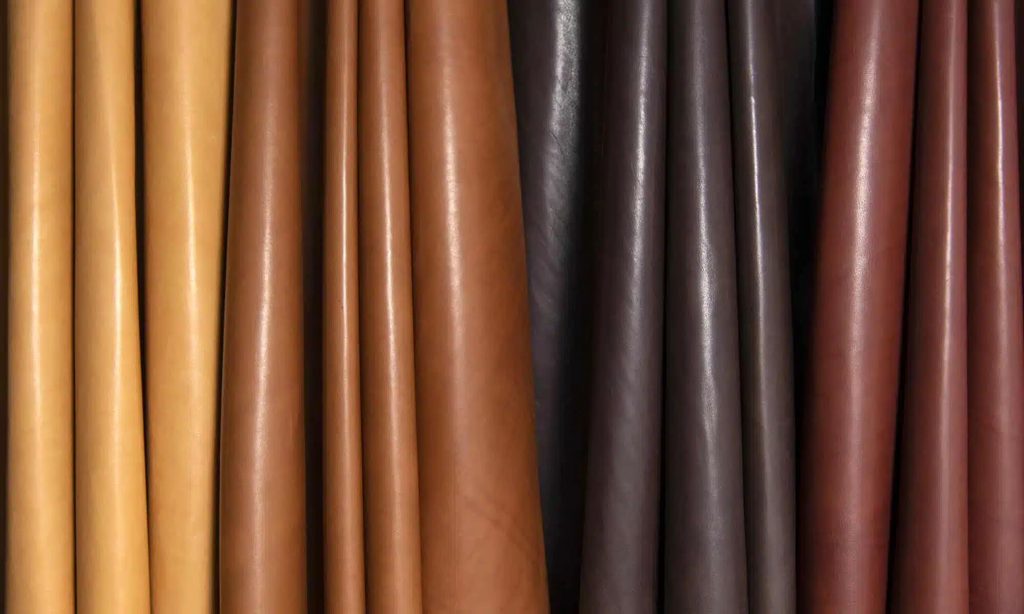 Jamie Stern Avignon leather