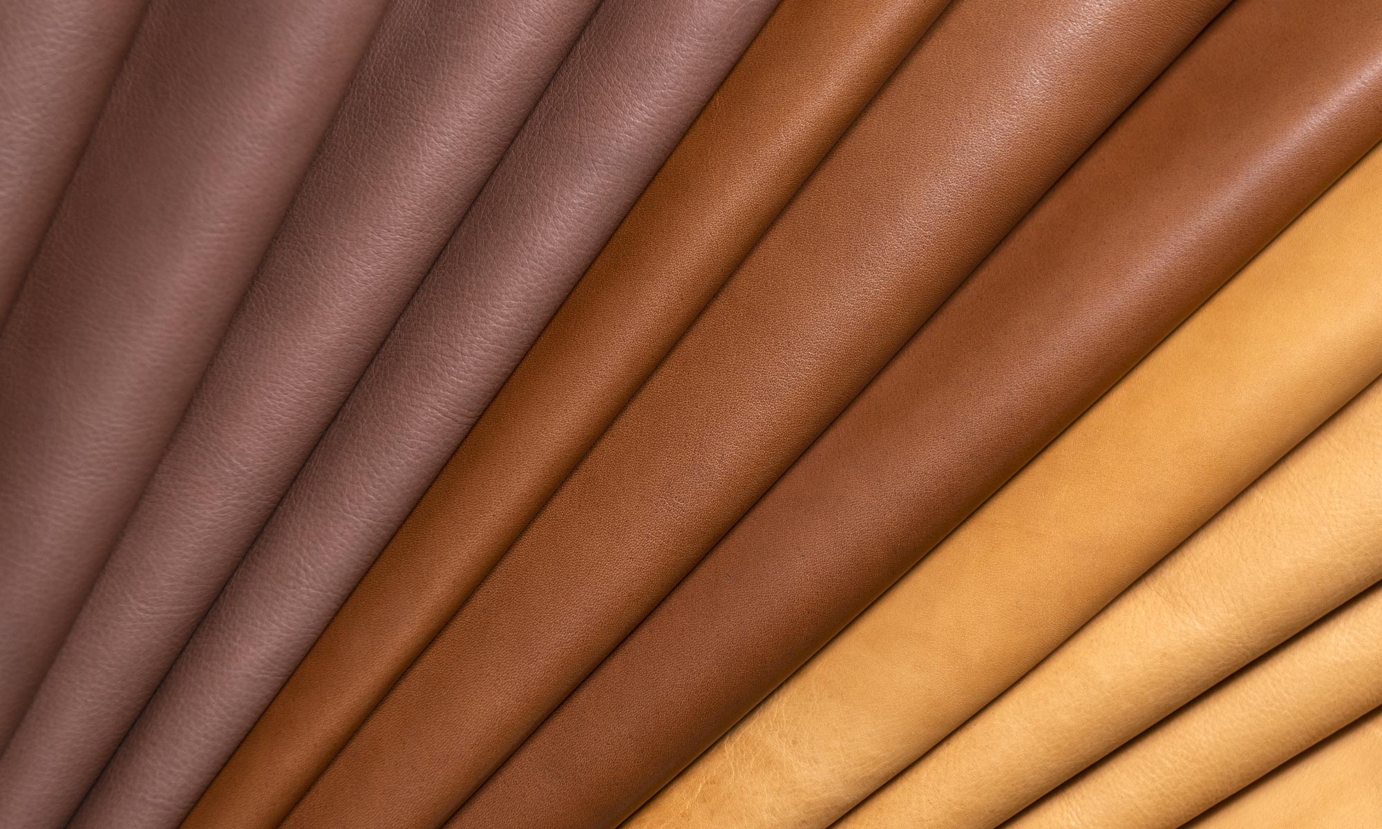 Jamie Stern Avignon leather