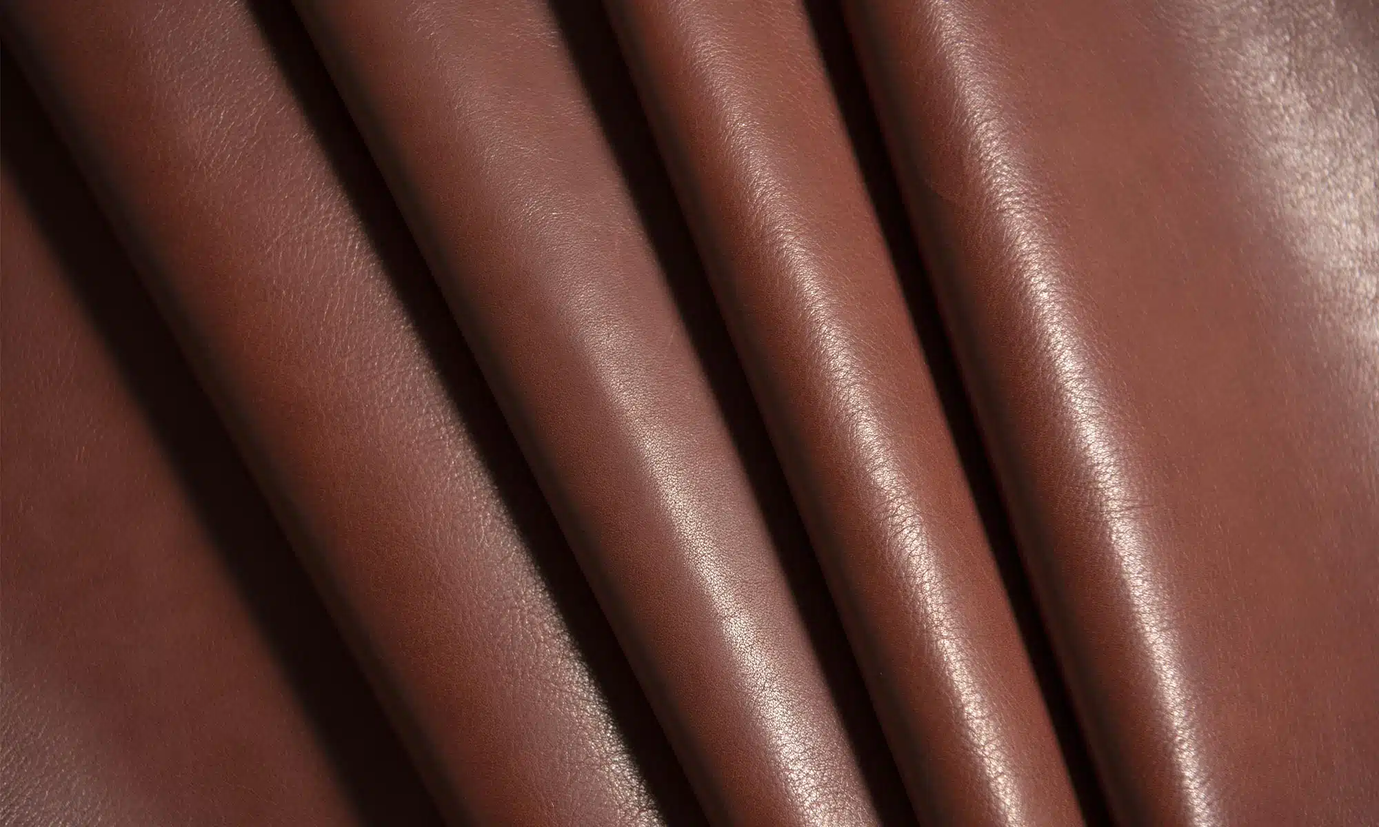 Jamie Stern Avignon leather
