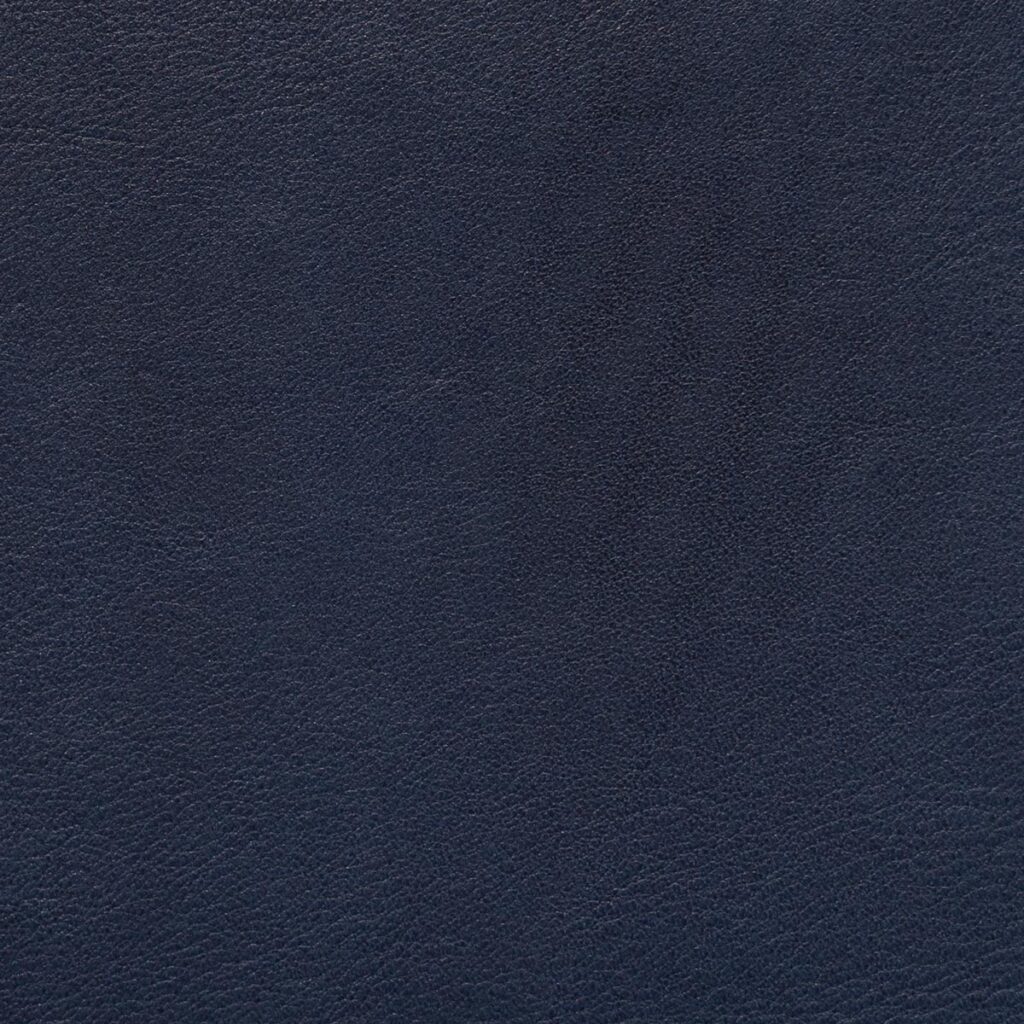 Leclerc Blue