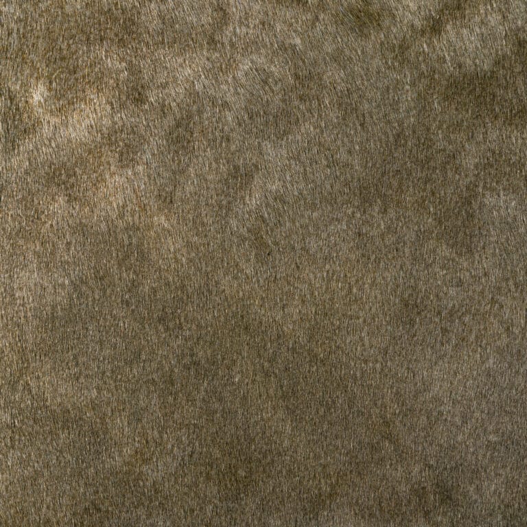 Two Toned Hair on Hide Moss Leather
