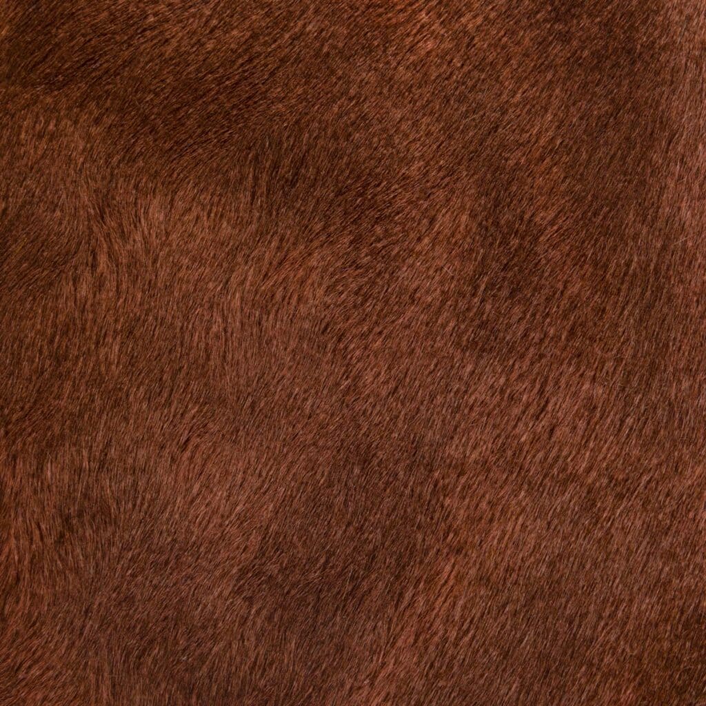 Two Toned Redwood
