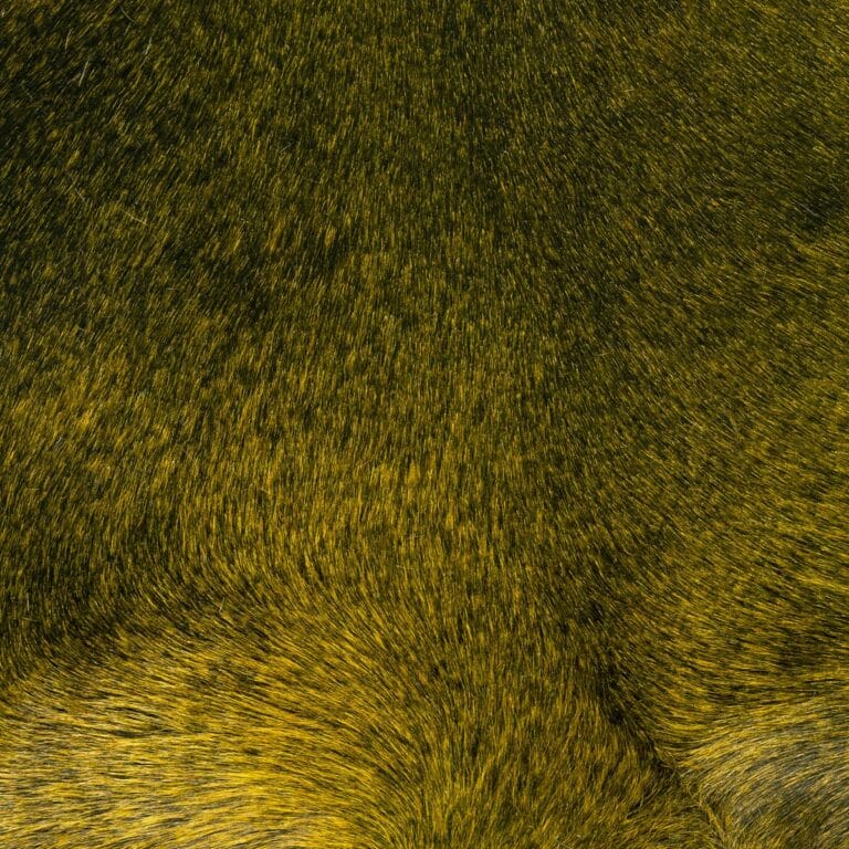 Two-Toned Forest Hair-on-Hide Leather