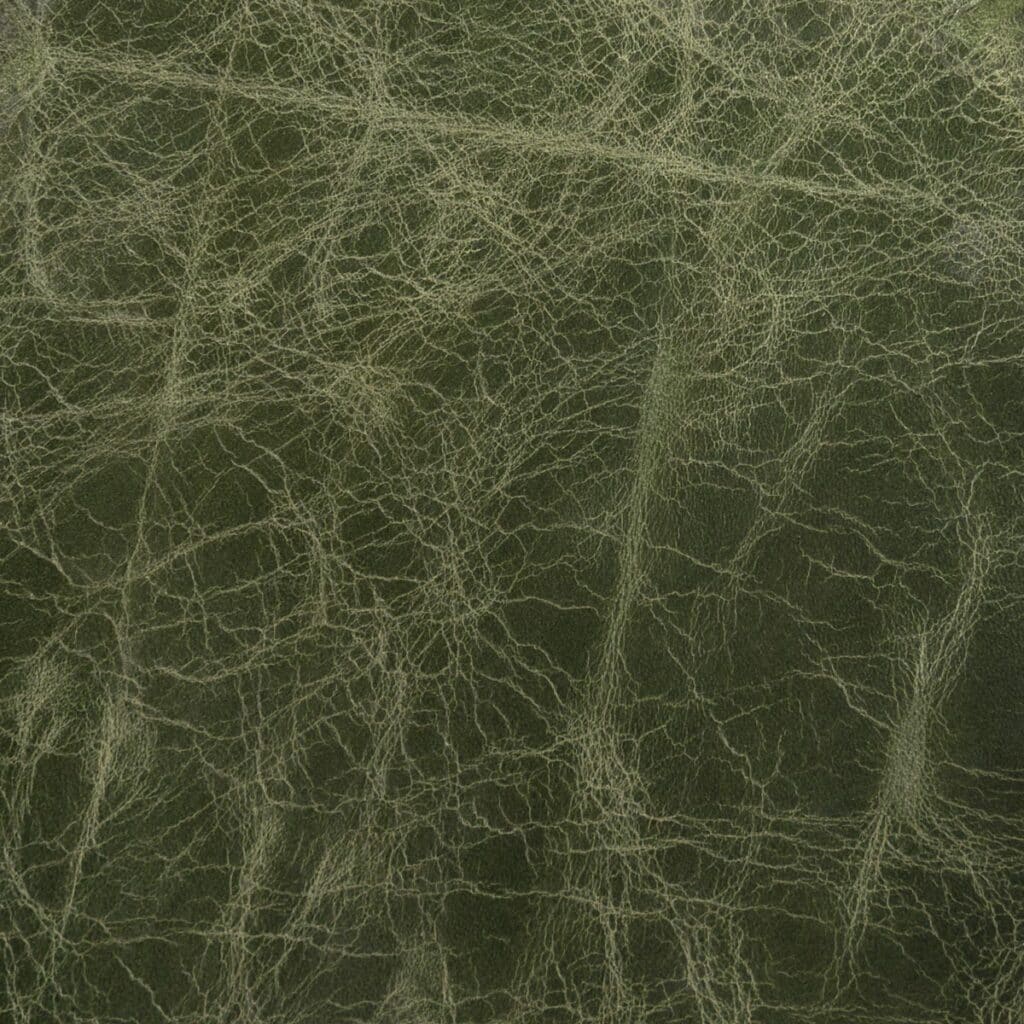 Pasture