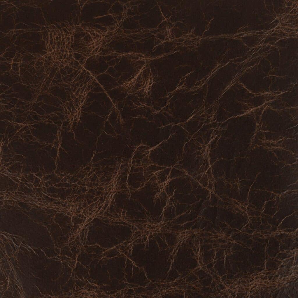 Elderberry