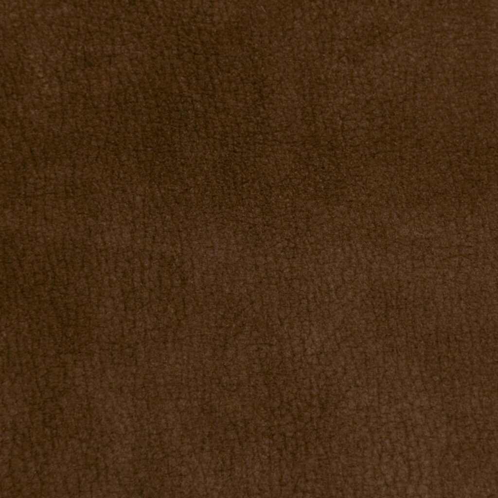 Coconut Shell
