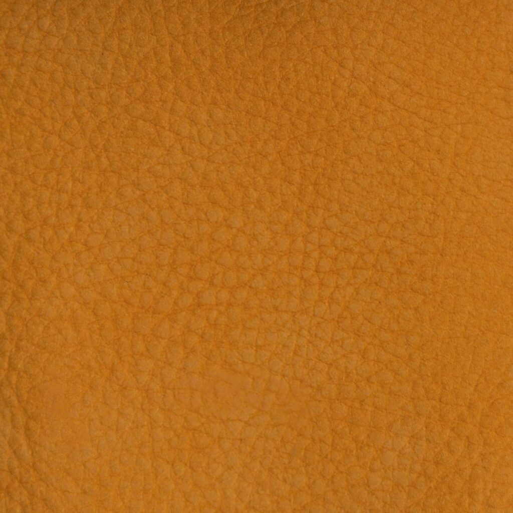 Clementine