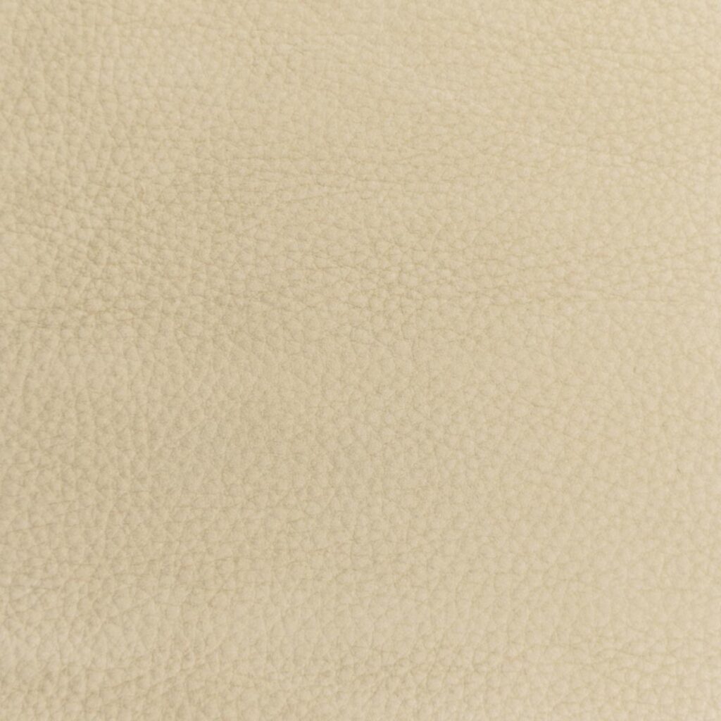 Albatross