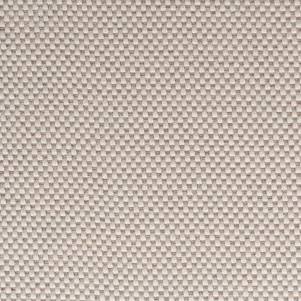 Web