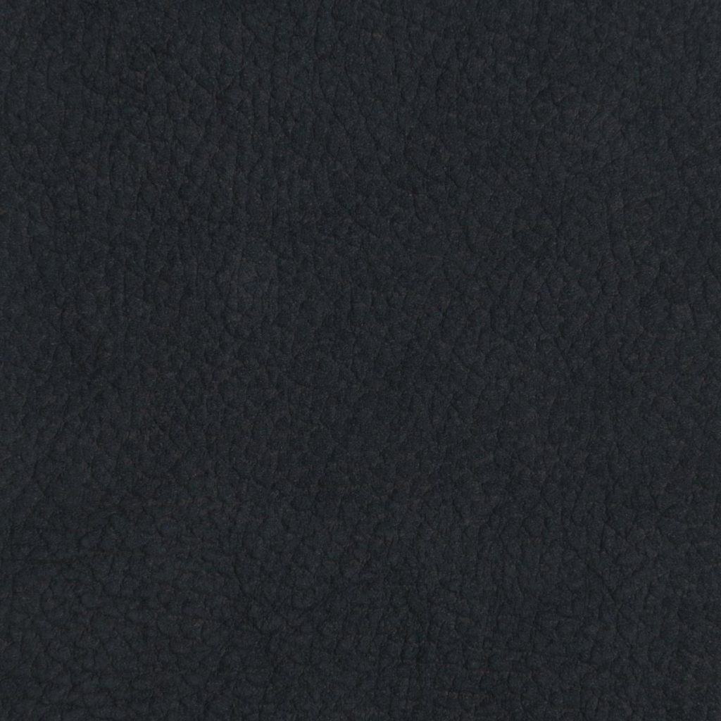 Polo Blue
