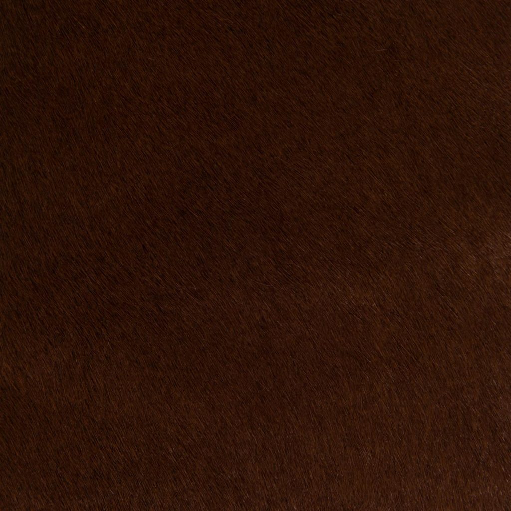 Mocha