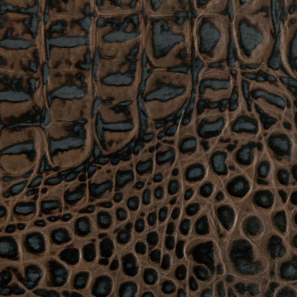 Palmetto