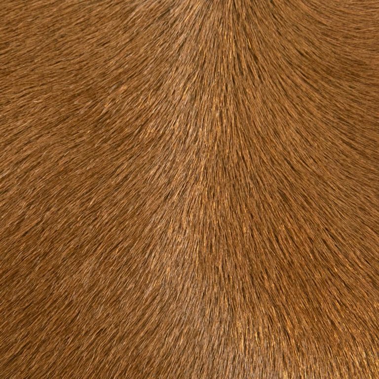 Hair-on-Hide Pony