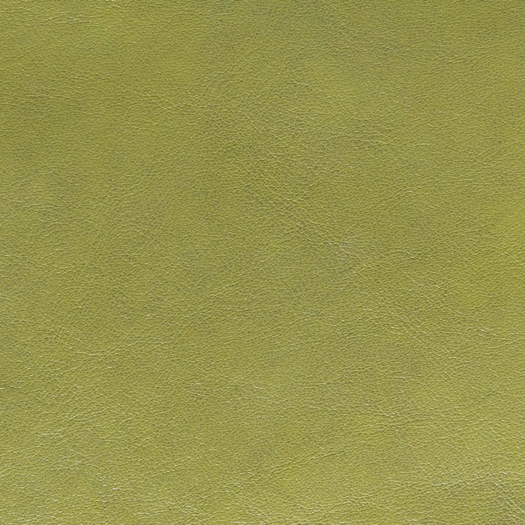 Lichen