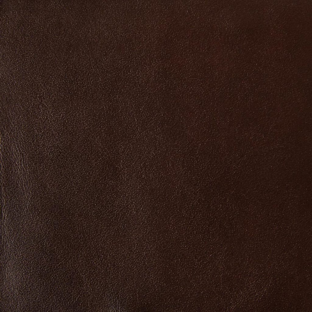 Marten