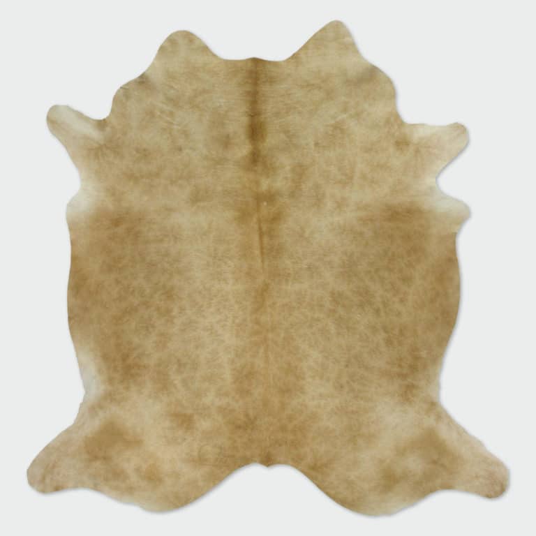 Trudy hair-on-hide