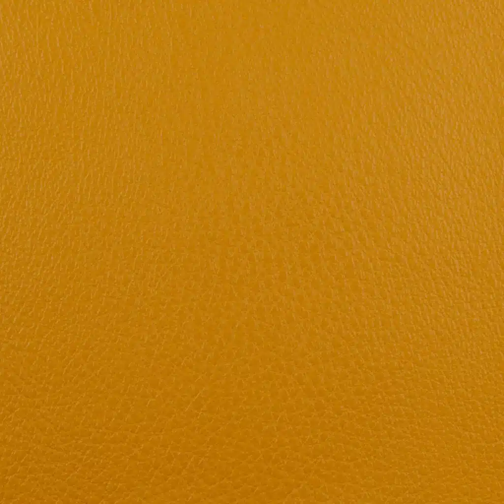 Honey Bee