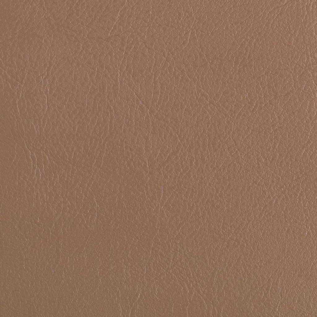 Nutmeg