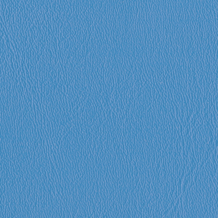 Hainan Blue