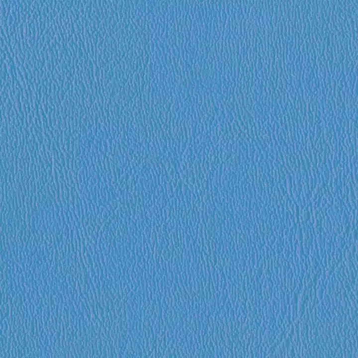 Hainan Blue