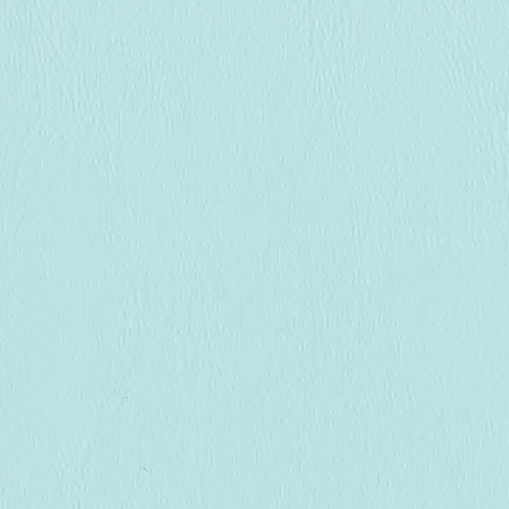 Aquatic