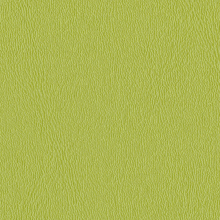 Parakeet