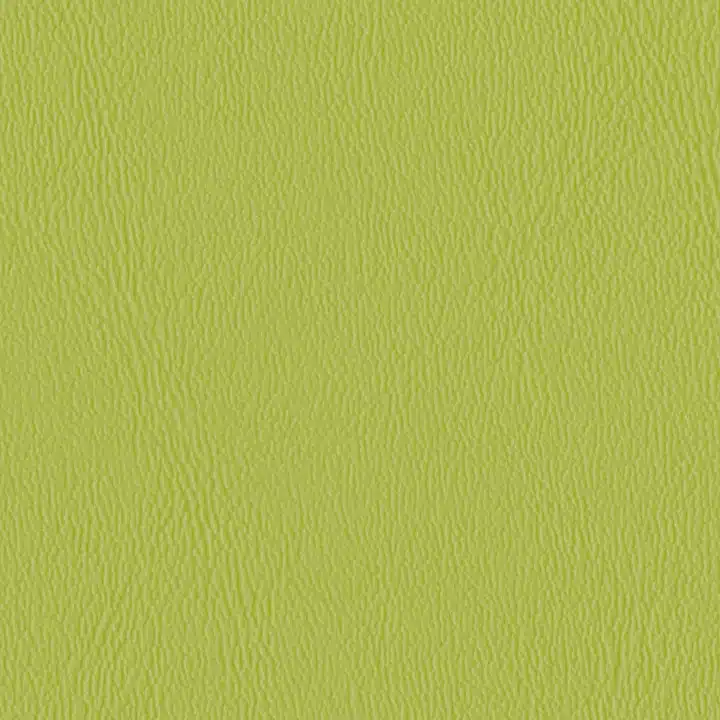 Parakeet
