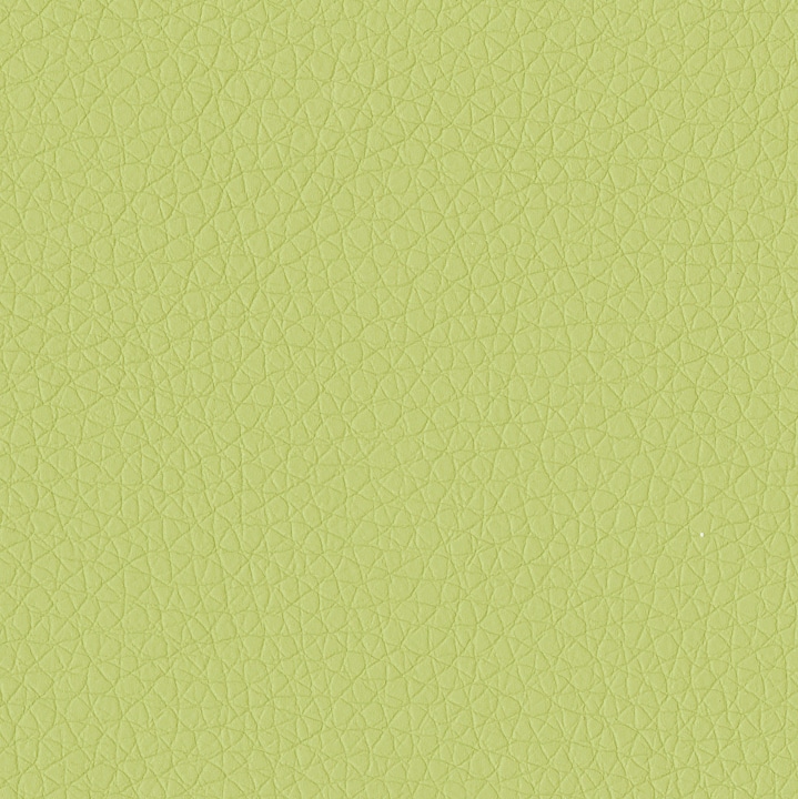 Brilliant Green