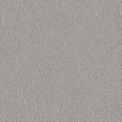 Jamie Stern Caravan Faux Leather in Metal Zipper color