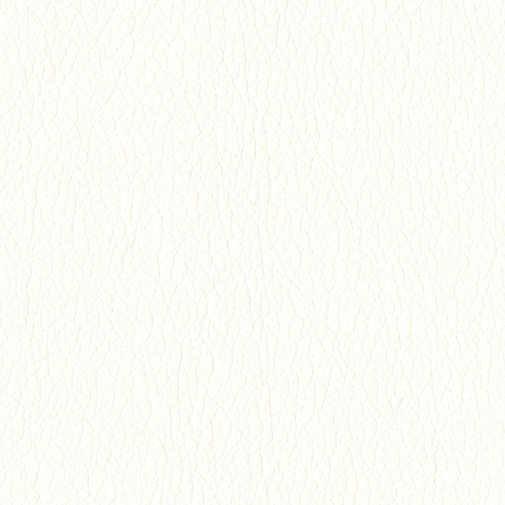 Froth