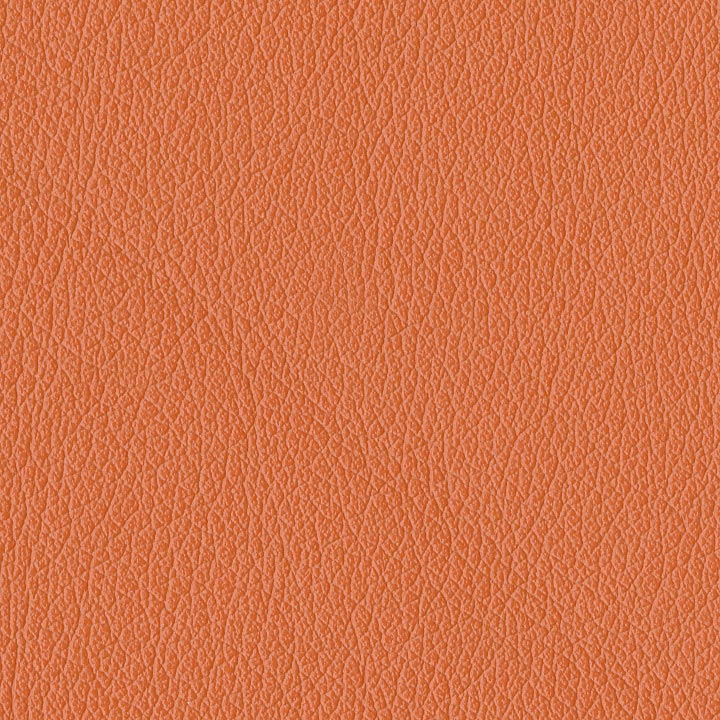 Sunkist