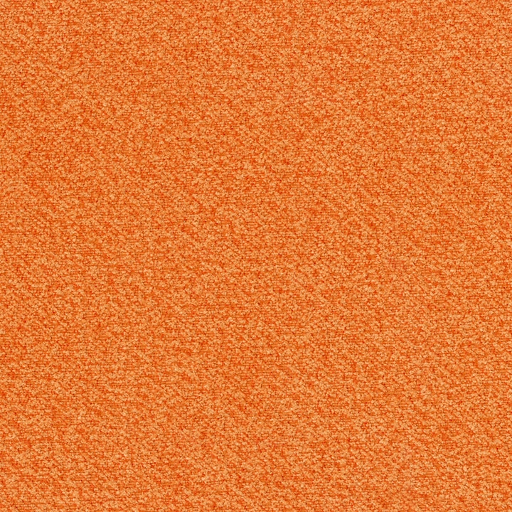 Tiger Lilly