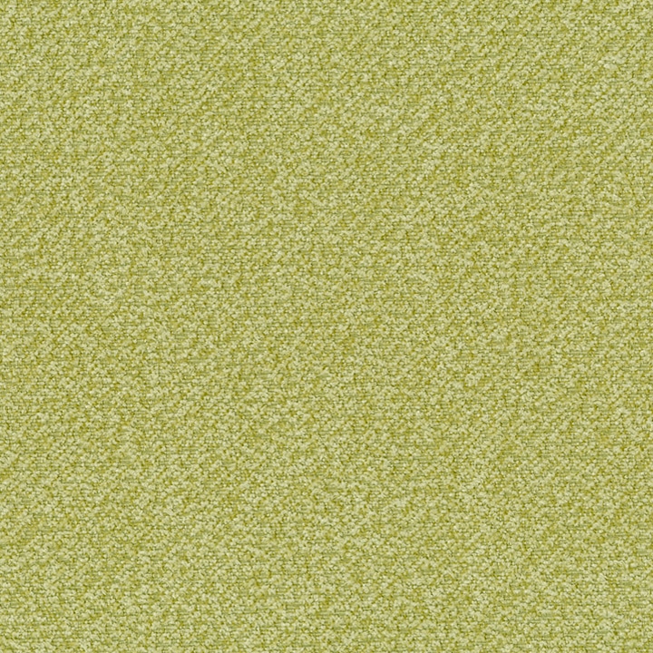 Dune Grass