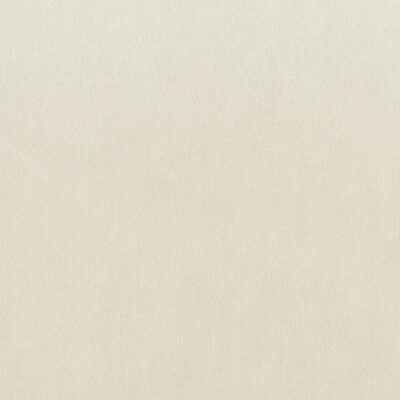 Carle Velvet Fabric by Jamie Stern in off white