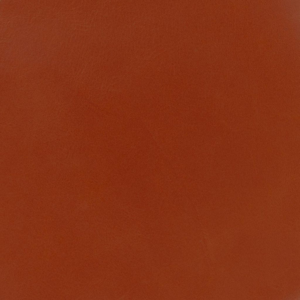 Corallo