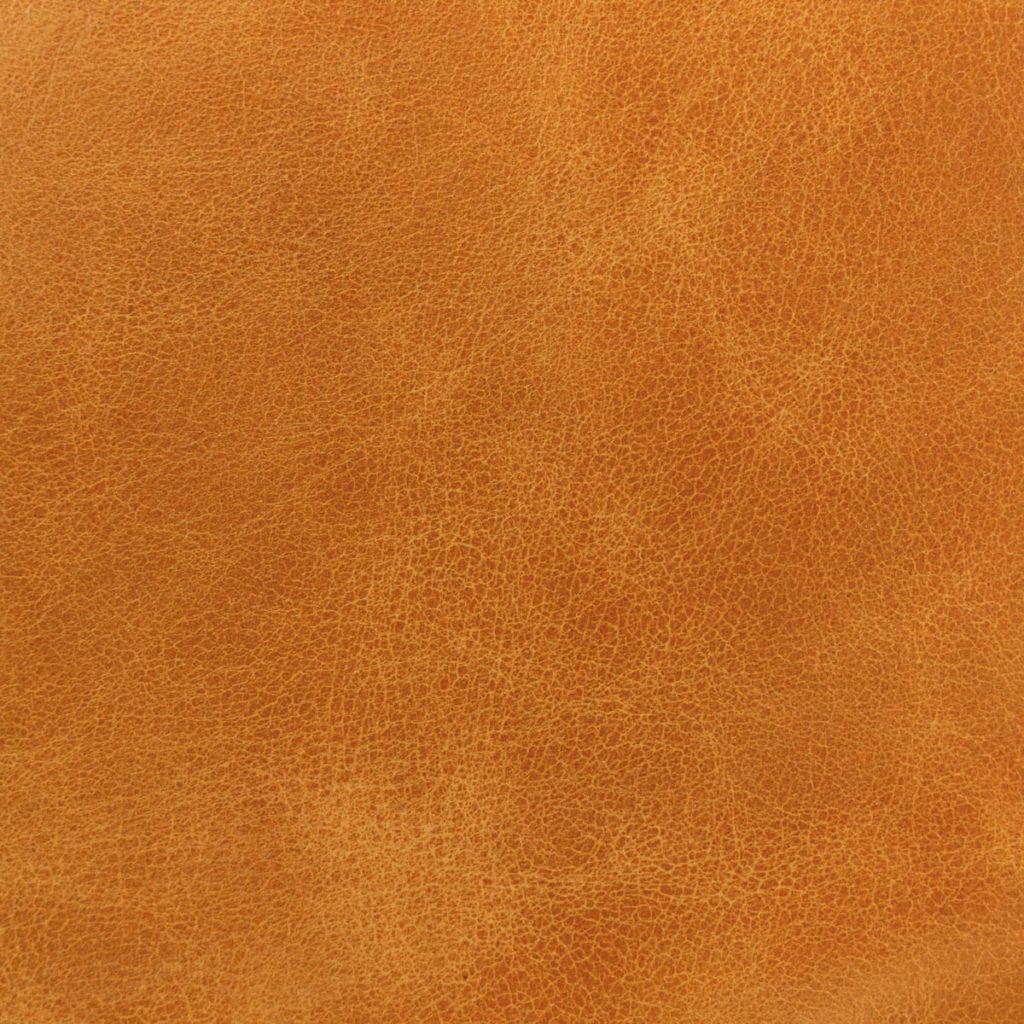 Moccasin