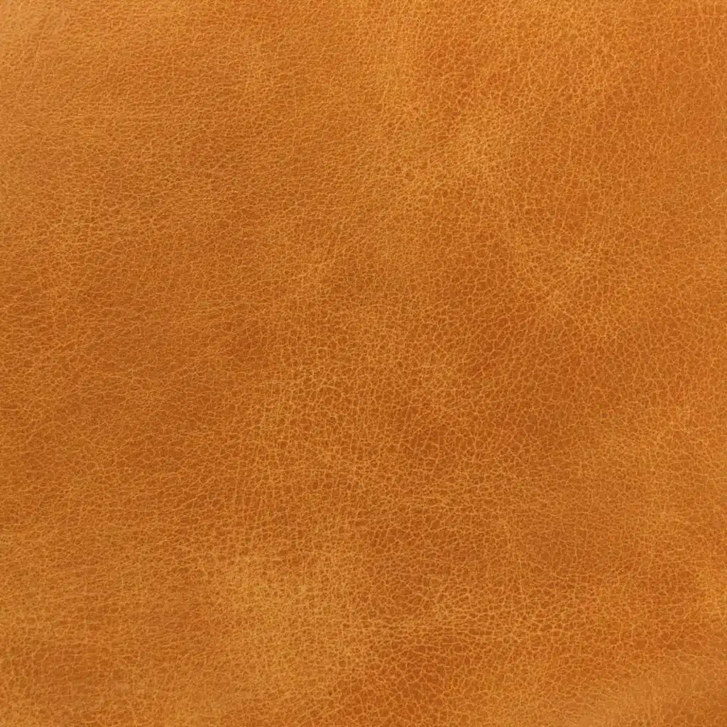 Moccasin